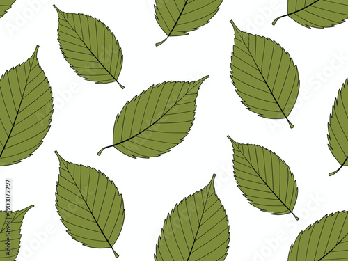 Repeating pattern of green elm leaves with black outlines a white background leaf