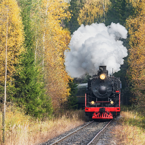 Steam train arrives to the station.

