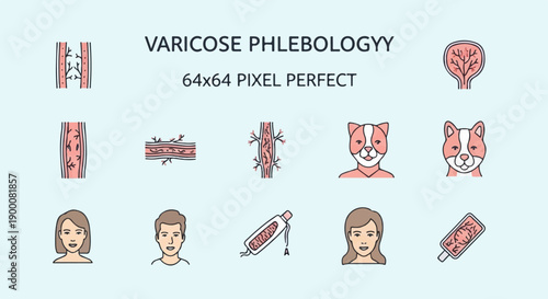 Medical icons veins, blood vessels, cats, and people