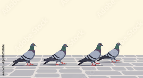 Four gray pigeons stand on a paved walkway against a pale yellow background