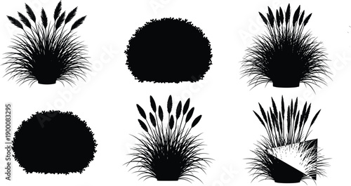 Collection of black pampas grass and garden shrub silhouettes isolated on white background for landscape design architectural visualization outdoor gardening and nature vector projects