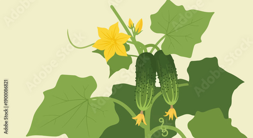 Green cucumbers and a yellow flower on a light background