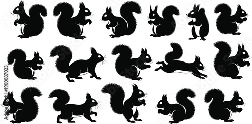 Set of black squirrel silhouettes in various poses including sitting jumping and standing icons isolated on white background for nature wildlife and animal vector design