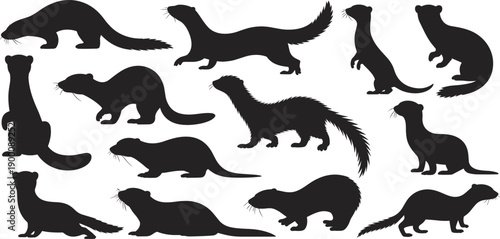 Mustelid animal silhouette set, otter, ferret, weasel, mink, martens, walking, standing, crouching poses, black vector, isolated, wildlife graphic