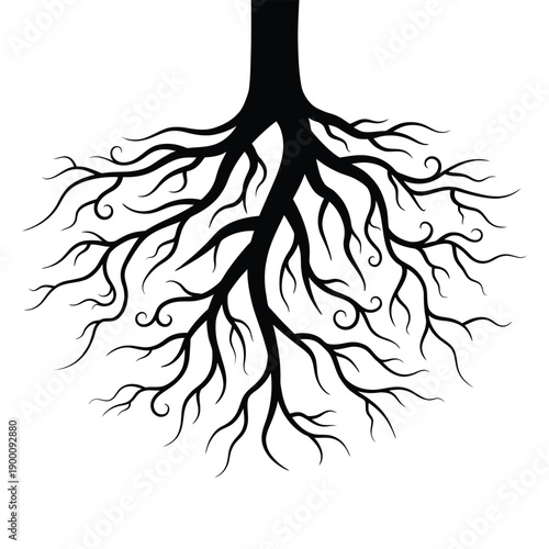 Intricate black tree roots spread across a white background