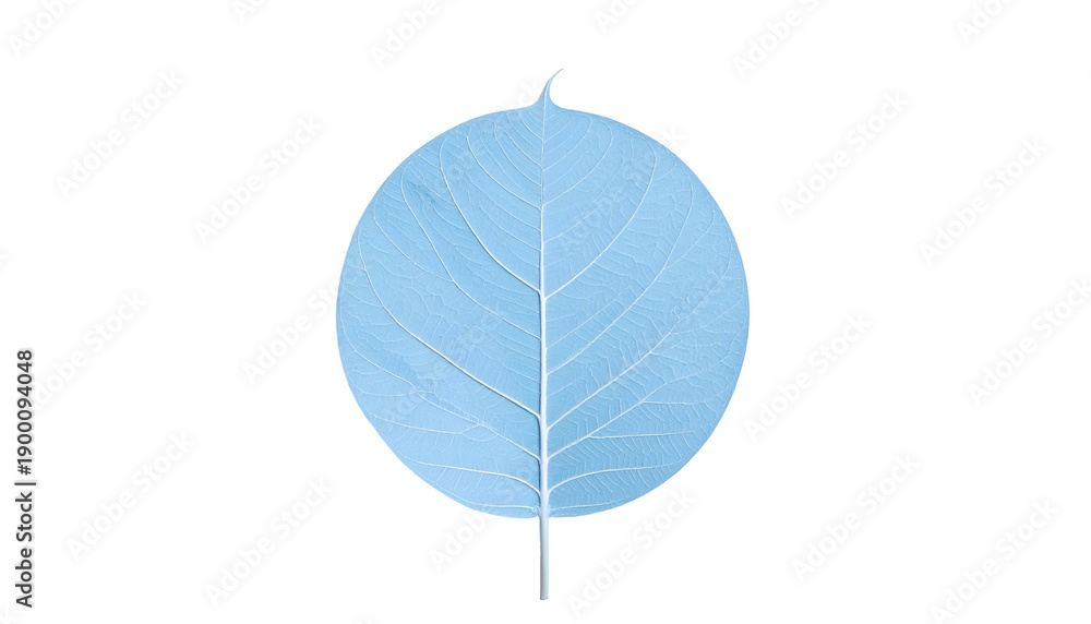 Obraz premium Isolated, semi-transparent pale blue leaf against a stark black background