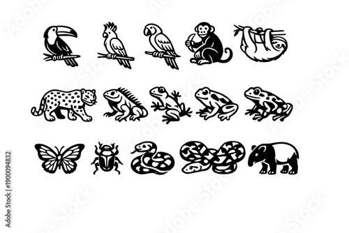 Tropical Jungle Animals in outline vector style: toucan, parrot, macaw, monkey, sloth, jaguar, iguana, gecko, tree frog, poison dart frog, butterfly, scarab
