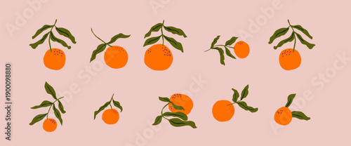oranges fruits with leaves isolated set of fruits as icons