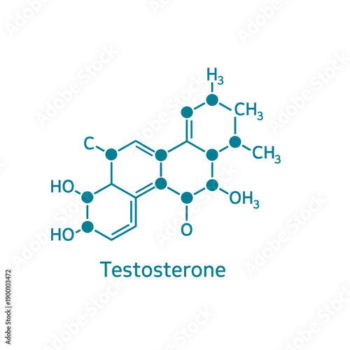 Chemical structure of testosterone molecule with its atomic bonds and functional groups.