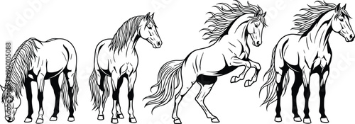 Set of four horse line art illustrations including grazing, standing, rearing, and walking poses, minimalist equestrian vector for creative design