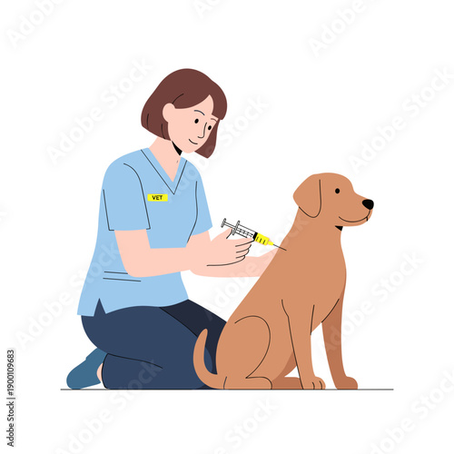 Female veterinarian giving injection to brown dog on white background  