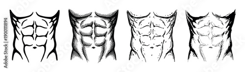 Four hand-drawn illustrations of a muscular male torso with defined abdominal muscles, a collection of sketches in various artistic styles like line art and cross-hatching