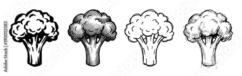 Four hand-drawn broccoli vegetable illustrations in a sketch style collection, featuring different line art and hatching techniques for a rustic, organic food concept