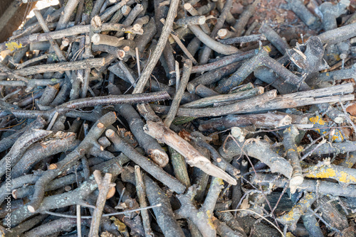 A pile of dry twigs and branches arranged chaotically, perfect for nature-themed projects, firewood preparation, or gardening ideas. The rustic setting suits outdoor and organic contexts.