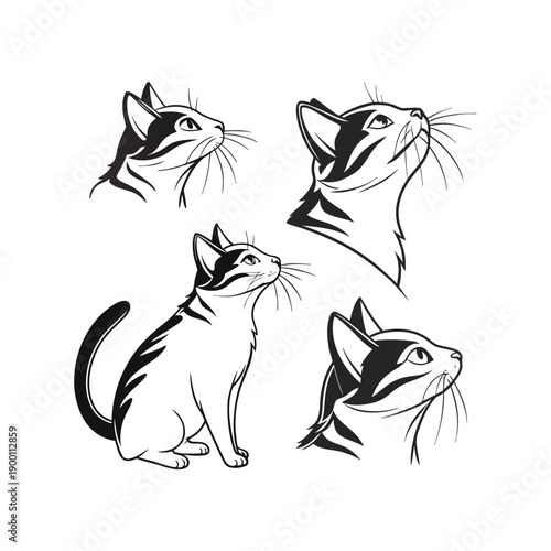 Cute black and white cat and dog cartoon illustration