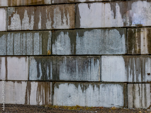Feuchte und verschmutzte Beton Mauer