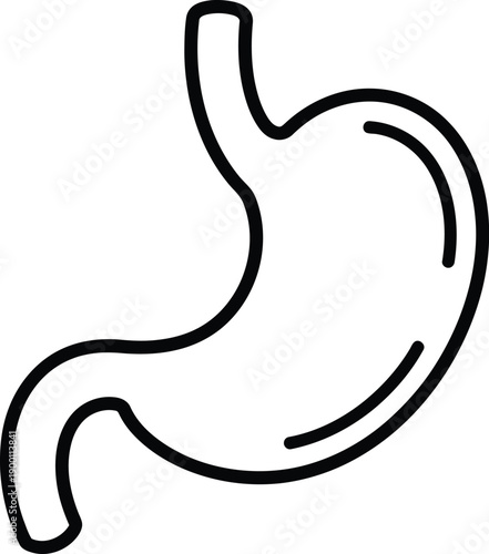 Outline icon of human stomach organ, digestive system anatomy, simple line drawing of stomach