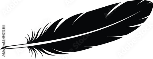 Black silhouette of a single bird feather