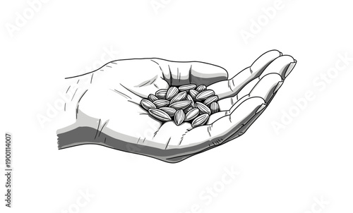 Hand holding sunflower seeds in black and white sketch style