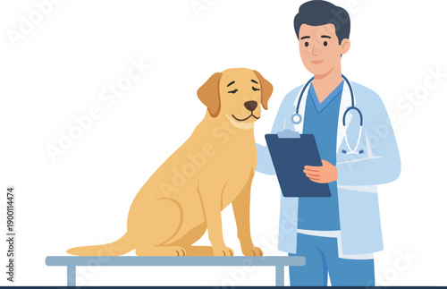 Male veterinarian doctor character examining a golden retriever patient on a table, flat cartoon vector illustration of animal healthcare isolated on white backgroun