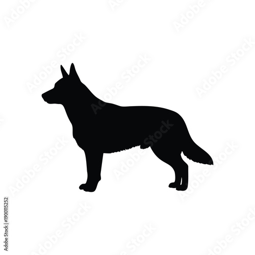 Australian cattle dog silhouette vector flat design on white background.