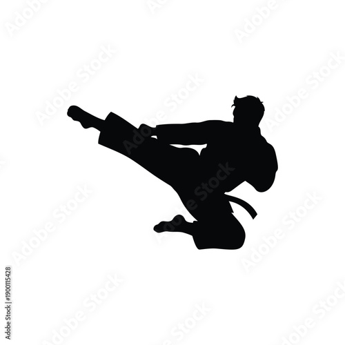 Male karate kick silhouette vector flat design on white background.