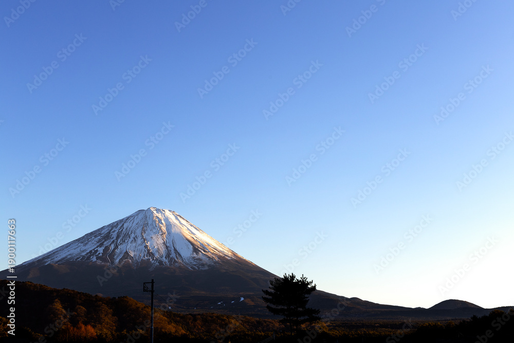 Fototapeta premium Mount Fuji Winter Landscape with Snow Covered Peak and Clear Blue Sky