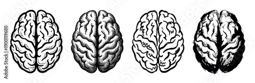 Set of four human brain illustrations in different black and white artistic styles, including stippling, engraving, line art, and expressive brush strokes from a top-down view