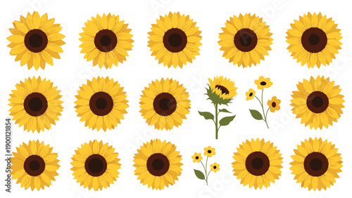 Collection of various bright yellow sunflower heads and small wildflowers arranged in a cheerful decorative grid.