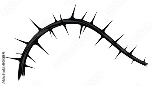 Stark black and white illustration of a curved tree branch covered in long sharp thorns on a plain white background.