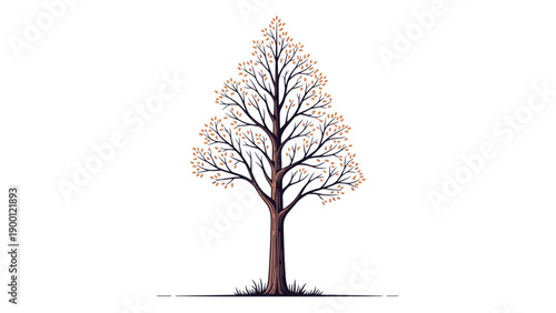 Tall symmetrical deciduous tree with a straight brown trunk and sparse autumn leaves standing on a small patch of grass.