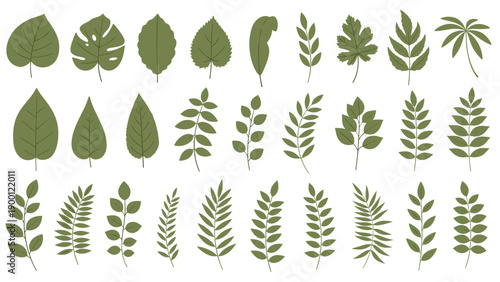 Large set of diverse green leaf illustrations depicts various botanical shapes and foliage styles ranging from simple to complex branch patterns.