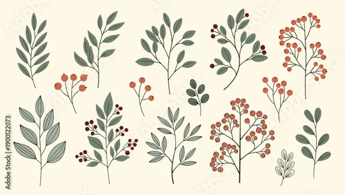 Elegant botanical set showcases various branches with detailed green leaves and clusters of small red berries arranged on a warm cream background.