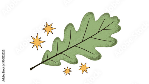 Charming illustration features a single textured green oak leaf floating diagonally and surrounded by four bright yellow twinkling stars.