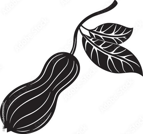Gourd Fruit Branch Silhouette with Leaves, Simple Line Art