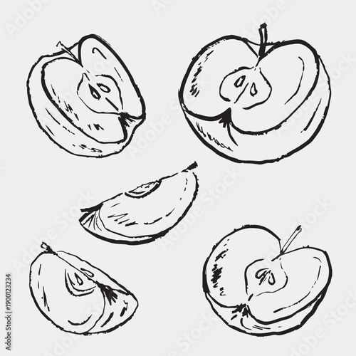 Hand drawn apple slices. Fresh fruit design, nutrition concept, cooking process. Vector sketch illustration in vintage crayon charcoal style.