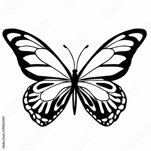 Black and white butterfly illustration with intricate wing patterns