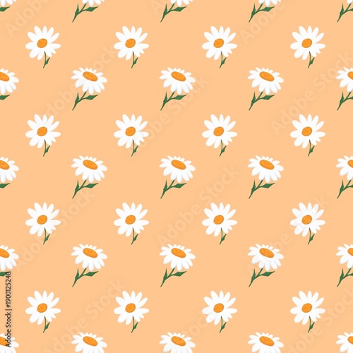 Fotografie Delicate white daisies with yellow centers and green stems create a charming sea
