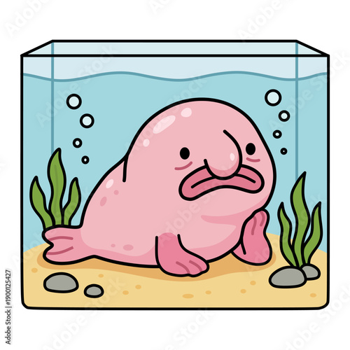 Cute pink blobfish in square glass aquarium with seaweed and sand, sad deep sea fish character in flat cartoon style, isolated vector illustration for pet and marine life design.