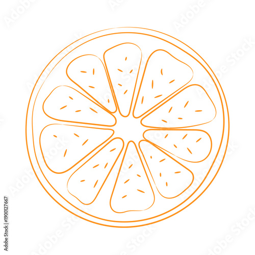 Minimalist Orange Fruit Slice Hand Drawn Line Art