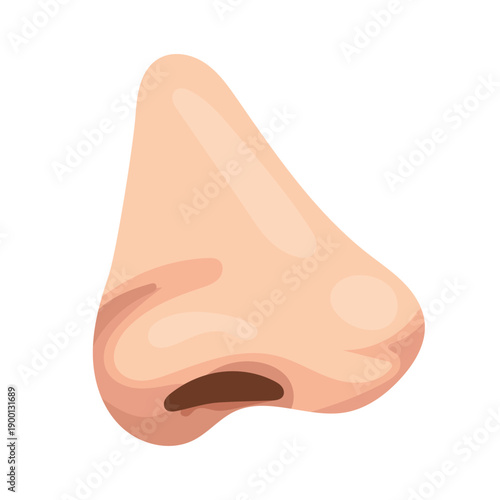 Nose, body parts. Flat vector clipart, illustration with isolated background.