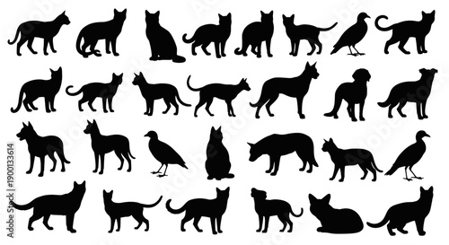 Animal Silhouettes Collection Diverse Cats, Birds, and Canines in Various Poses for Graphic Design