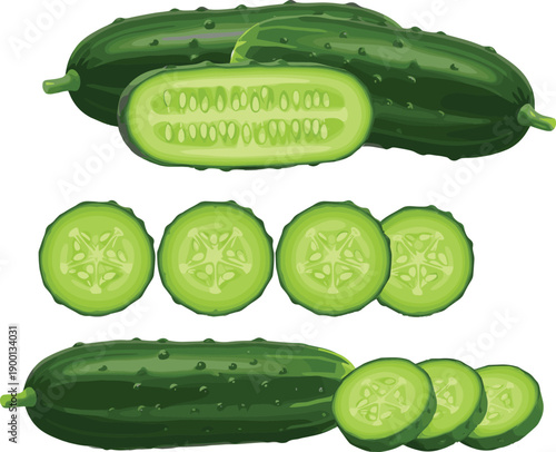 Fresh Green Cucumber Vector Set with Whole Vegetables, Half Cut, and Round Slices for Healthy Food Packaging, Menu Design, and Organic Farming Illustrations