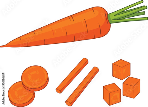 Fresh Orange Carrot Vector Set Featuring Whole Root Vegetable with Green Top, Sliced Rounds, Julienne Sticks, and Diced Cubes for Healthy Cooking Designs