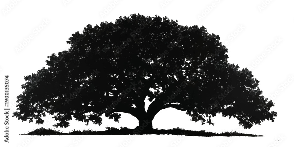 Fototapeta premium Majestic silhouette of a large mature oak tree with a full canopy against a white background