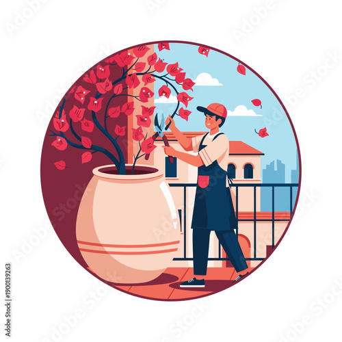 Young man in an apron happily pruning a blooming bougainvillea plant in a large pot on a sunny city balcony.