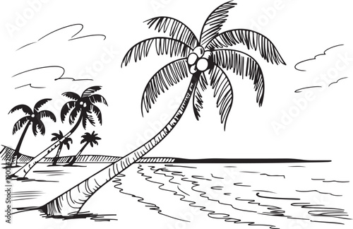 A hand drawn black and white sketch depicts a tropical beach with a leaning palm tree and coconuts