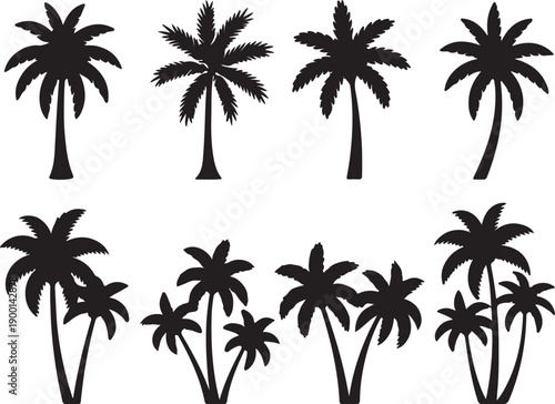 An assortment of single and clustered palm tree silhouettes displaying different heights and shapes