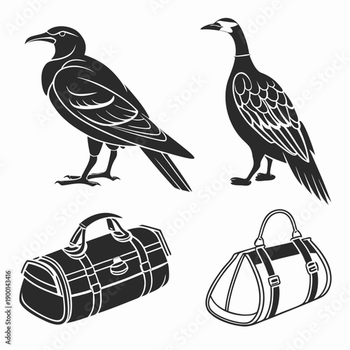 Illustration of birds and handbags showcasing unique designs and patterns