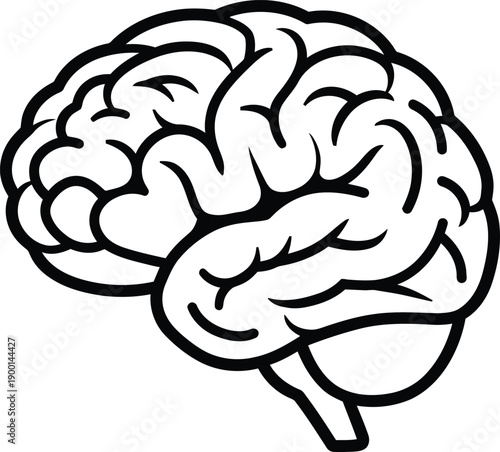 Brain Anatomy Illustration: A detailed, artistic illustration of the human brain, showcasing its intricate form, designed to captivate and educate the viewers on the power of mind.